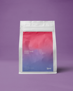 Colombia Divino Nino Gesha