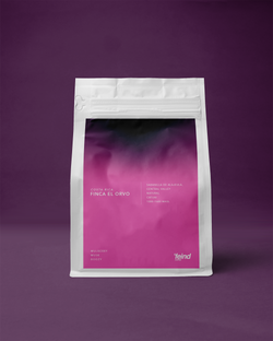 Costa Rica Finca El Orvo Natural