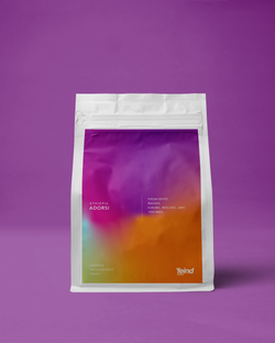 Ethiopia Adorsi
