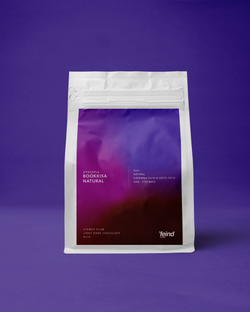 Ethiopia Bookkisa Natural | Espresso Roast