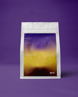 Guatemala Co-op Chicoj