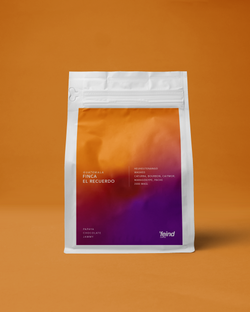 Guatemala Finca El Recuerdo