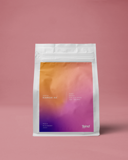 Kenya Kiangai AA | Espresso Roast