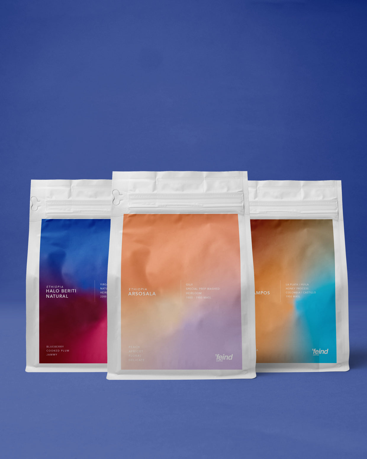 Taster Bundles- Single Origin Filter