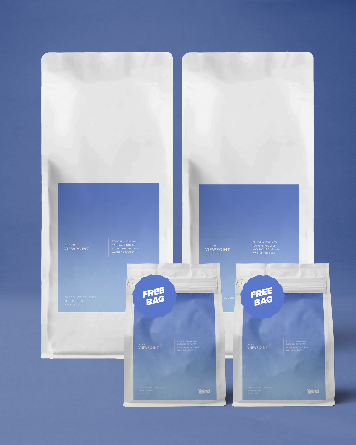 Viewpoint Blend