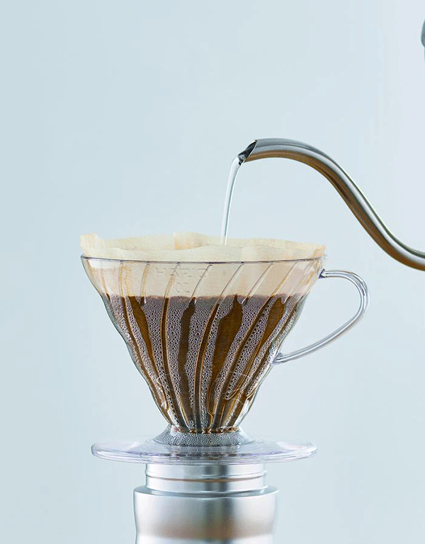 V60 Plastic (2 Cup).