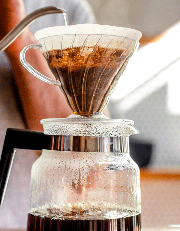 V60 02 Filter Papers.